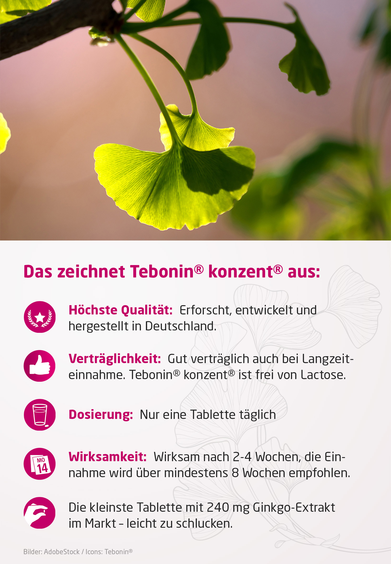 Foto: Gingko Integration